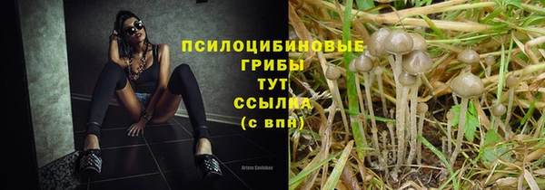 мдма Беломорск