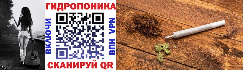 Конопля конопля  Купить закладки  Нерчинск 